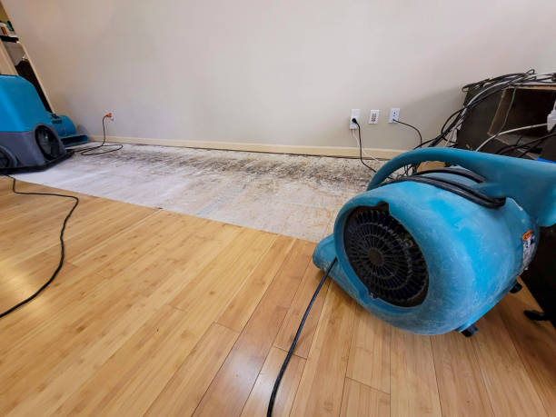 Professional Structural Drying technician working in Scotland, SD